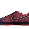 313170-661_20 Nike SB Dunk Low Concepts Red Lobster – 313170-661