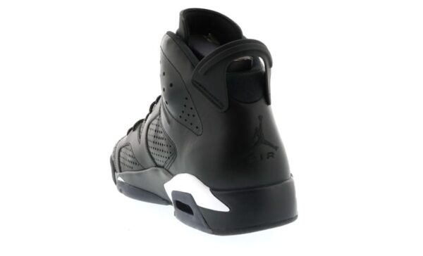 Air Jordan 6 Retro Gato Negro (384664-020)