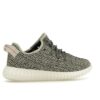 Adidas Yeezy Boost 350 Tórtola (2022) AQ4832