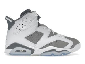 Air Jordan 6 Retro Gris Frío (CT8529-100)