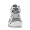 Air Jordan 6 Retro Gris Frío (CT8529-100)