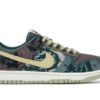 Nike Dunk Low Jardín Comunitario – CZ9747-900