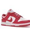 Nike Dunk Low Archeo Rosa (Mujer) – DD1503-111