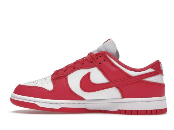 Nike Dunk Low Archeo Rosa (Mujer) – DD1503-111