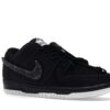Nike SB Dunk Low Gnarhunters DH7756-010 Colaboración con Elissa Steamer