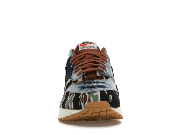 Nike Air Max 1 SP Concepts Heavy DN1803-900