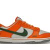 Nike Dunk Low FAMU – DR6188-800 – Edición de la Universidad Florida A&M
