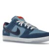 Nike SB Dunk Low Pro ¿Por qué estás tan triste? – DX5549-400