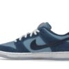 Nike SB Dunk Low Pro ¿Por qué estás tan triste? – DX5549-400