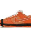 Nike SB Dunk Low Concepts Naranja Langosta – FD8776-800