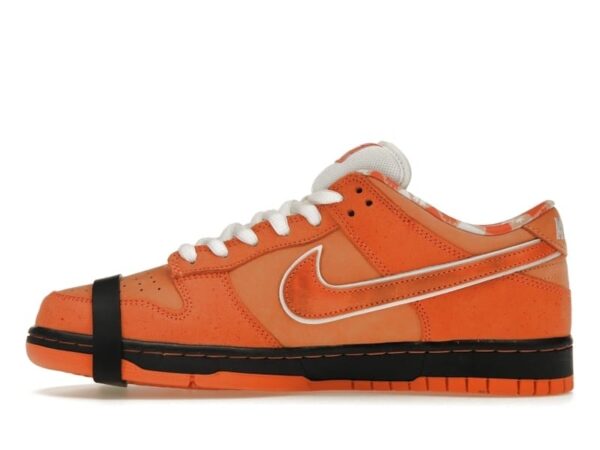 Nike SB Dunk Low Concepts Naranja Langosta – FD8776-800
